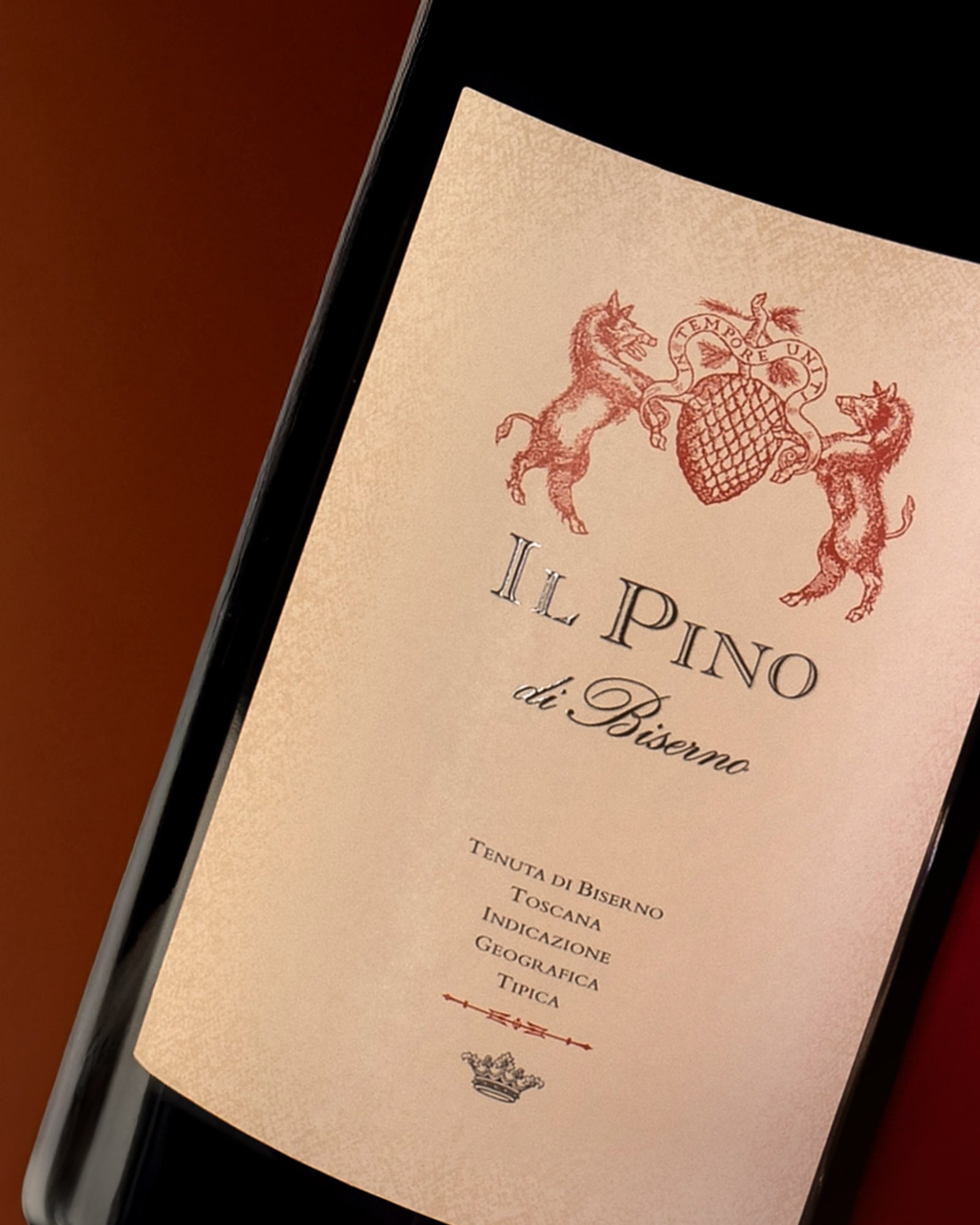 Il Pino di Biserno 2021