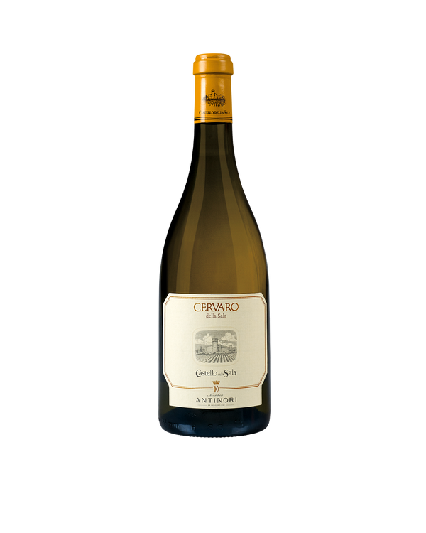 Cervaro della Sala 2023